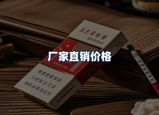 专业团队办公环境